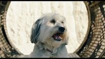 Pudsey the Dog: The Movie - Orijinal Fragman görüntüsü