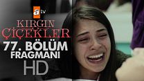 Kırgın Çiçekler 77.Bölüm Fragmanı görüntüsü