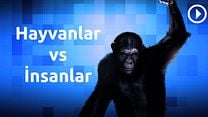 Hayvanlar vs İnsanlar görüntüsü