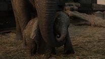 Dumbo Orijinal Fragman görüntüsü