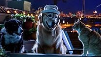 Cats & Dogs 3: Paws Unite Orijinal Fragman görüntüsü