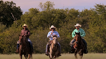 How To Be A Cowboy Fragman görüntüsü