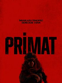Primat