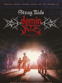 Stray Kids: The dominATE Deneyimi