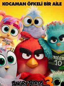 The Angry Birds Movie 3 Dublajlı Fragman görüntüsü