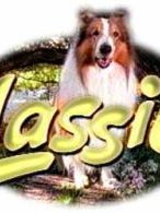 Lassie (1997) Sezon 2 posteri