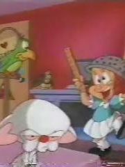 Pinky, Elmyra & the Brain Sezon 1 posteri