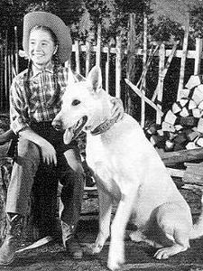 Corky and White Shadow Sezon 1 posteri