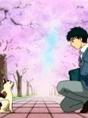 Boys Be Sezon 1 posteri