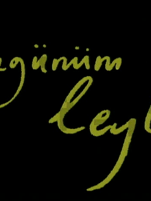 Üzgünüm Leyla Sezon 1 posteri