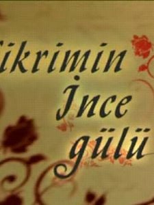 Fikrimin İnce Gülü Sezon 1 posteri