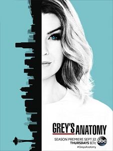 Grey's Anatomy Sezon 13 posteri