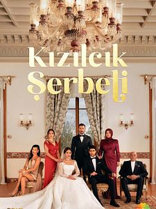 Kızılcık Şerbeti Sezon 4 posteri