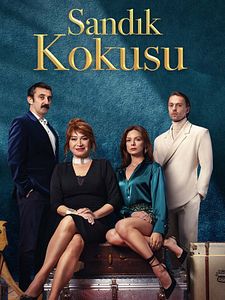 Sandık Kokusu Sezon 2 posteri