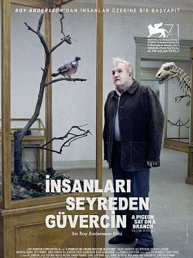 İnsanları Seyreden Güvercin posteri