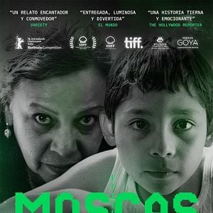 Fotoğraf Moscas