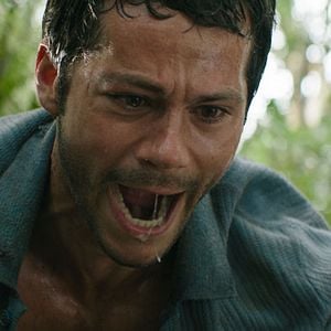 Fotoğraf Dylan O'Brien