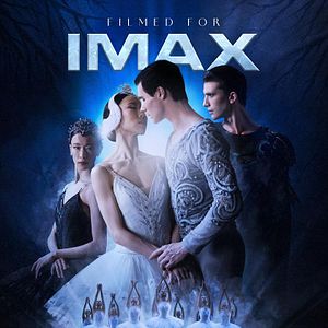 Fotoğraf Le lac des cygnes