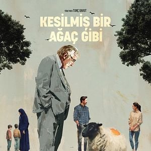 Fotoğraf Kesilmiş Bir Ağaç Gibi