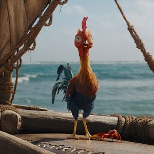 Fotoğraf Moana
