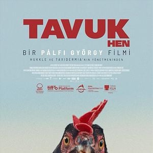 Fotoğraf Tavuk