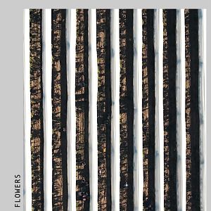 Fotoğraf Annemin Solgun Çiçekleri