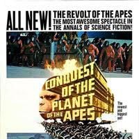 Fotoğraf Maymunlar Cehenneminde İsyan