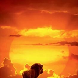 Fotoğraf Aslan Kral