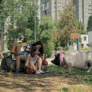 Fotoğraf Chicas tristes