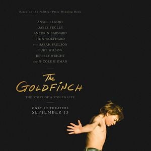 Fotoğraf Saka Kuşu