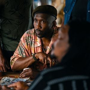 Fotoğraf Mahershala Ali