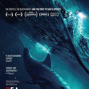 Fotoğraf Sea of Shadows