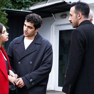 Fotoğraf Yalı Çapkını