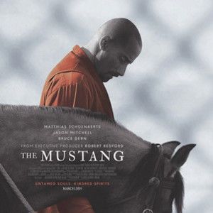 Fotoğraf The Mustang