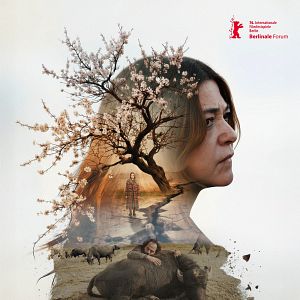 Fotoğraf Günyüzü