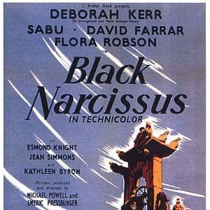 Fotoğraf Black Narcissus