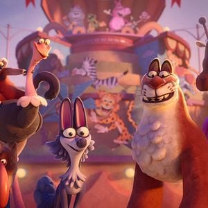 Fotoğraf Cesur Hayvanat Bahçesi Sakinleri 