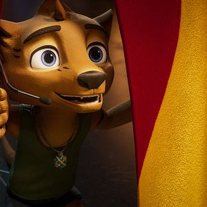 Fotoğraf Kayıp Kaplan