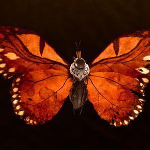 Fotoğraf Hoplayanlar