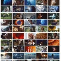 Fotoğraf Hayat Ağacı