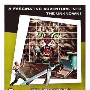 Fotoğraf Kendi Kendine Küçülen Adam