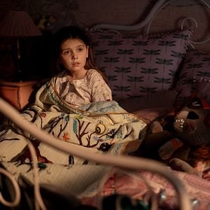 Fotoğraf Dust Bunny