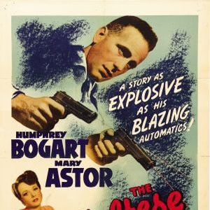 Fotoğraf Malta Şahini