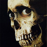 Fotoğraf Evil Dead II