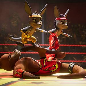 Fotoğraf Kayıp Kaplan