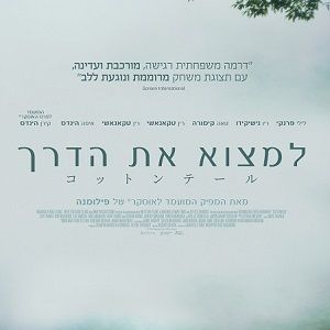 Fotoğraf Cottontail