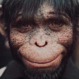 Fotoğraf Better Man: Robbie Willams'ın Hikayesi