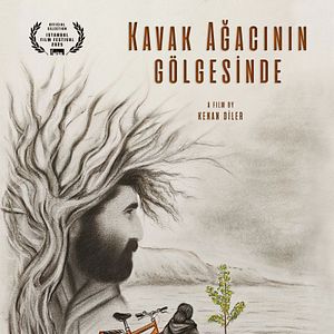 Fotoğraf Kavak Ağacının Gölgesinde