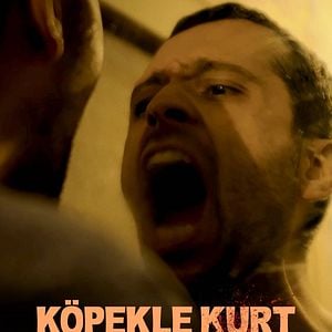 Fotoğraf Köpekle Kurt Arasında