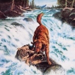 Fotoğraf Hoomeward Bound : The Incredible Journey